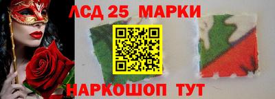 шишки Будённовск